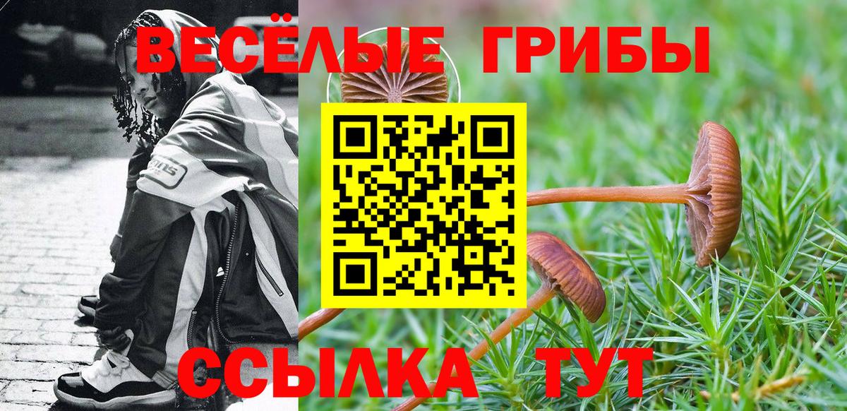 Галлюциногенные грибы прущие грибы  Вход с VPN  Мончегорск 