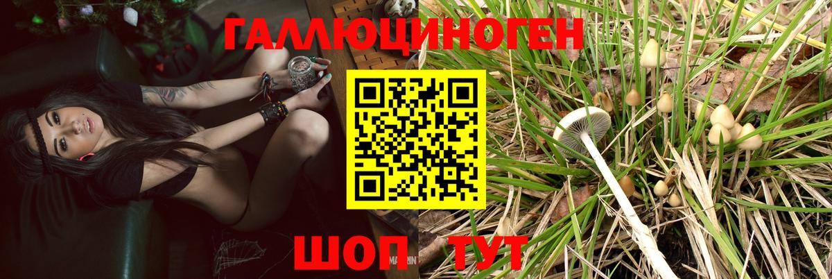 Канабис Мончегорск