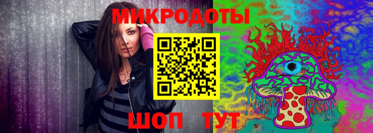 Псилоцибиновые грибы мицелий Мончегорск